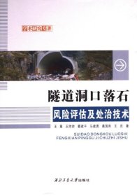 隧道洞口落石风险评估及处治技术