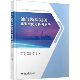 油气勘探突破典型案例分析与启示