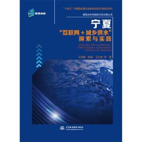 宁夏互联网+城乡供水探索与实践/智慧水利关键技术及应用丛书