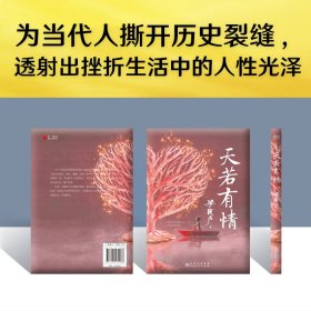 天若有情（茅奖得主、《人世间》作者梁晓声深情故事集。生活中的不幸，是上天成就你我的良方。）