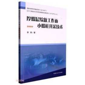 厚煤层综放工作面小煤柱开采技术