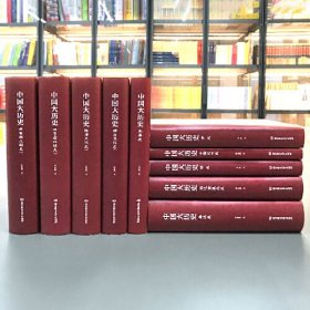 中国大历史（全10册）