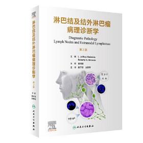 淋巴结及结外淋巴瘤病理诊断学 第2版、