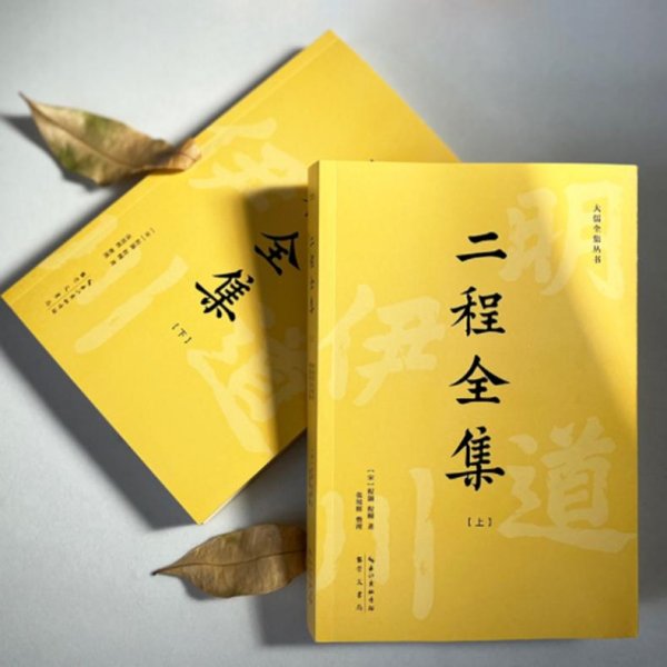 二程全集：宋明理学开山巨著，涂宗瀛刻本简体横排新校版（全2册）