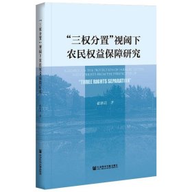 “三权分置”视阈下农民权益保障研究