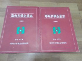 郑州乡镇企业志 【征鉴稿 】上下册