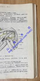 系统解剖学 第三版