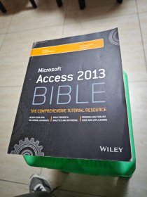 Microsoft Access2013 BIBLE 内有标记和字迹