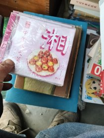 中国八大菜系湘菜10VCD