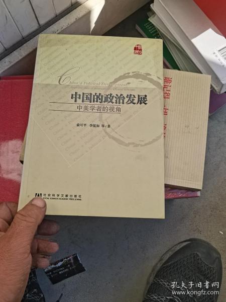 中国的政治发展：中美学者的视角