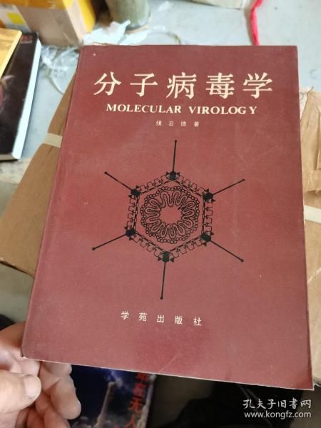 分子病毒学