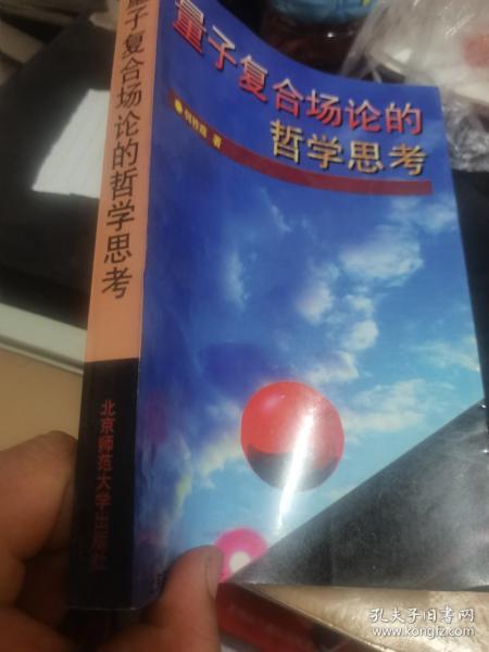 量子复合场论的哲学思考