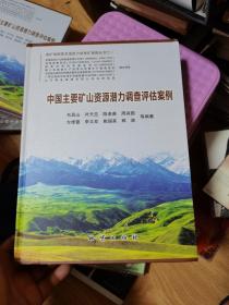 中国主要矿山资源潜力调查评估案例