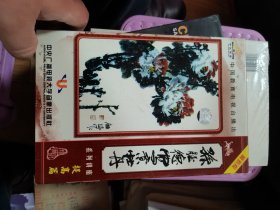 孙玉德写意牡丹 提高篇10集（VCD 5碟）