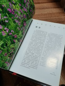 中国黑龙江野生花卉