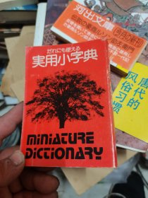 实用小字典日文版