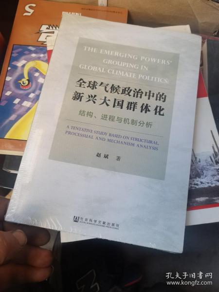 全球气候政治中的新兴大国群体化——结构、进程与机制分析