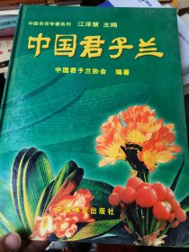 中国兰花色叶艺研究及色叶复合艺名品鉴赏