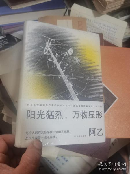 阳光猛烈，万物显形（作家阿乙的人生词典，歌手李健推荐：“阿乙人有趣，作品精彩，这本随笔，写得生动而精简。” ）未开封