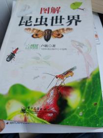 圖解昆蟲世界