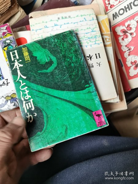 日本人とは何か (讲谈社学术文库