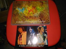 w-inds. Live Tour 2005 ageha 2DVD 初回限定 特典付 日版 拆封