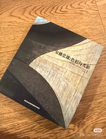 安藤忠雄：色彩与光影,理查德·派尔 著