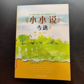 小小说今选