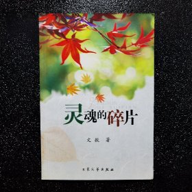 灵魂的碎片。