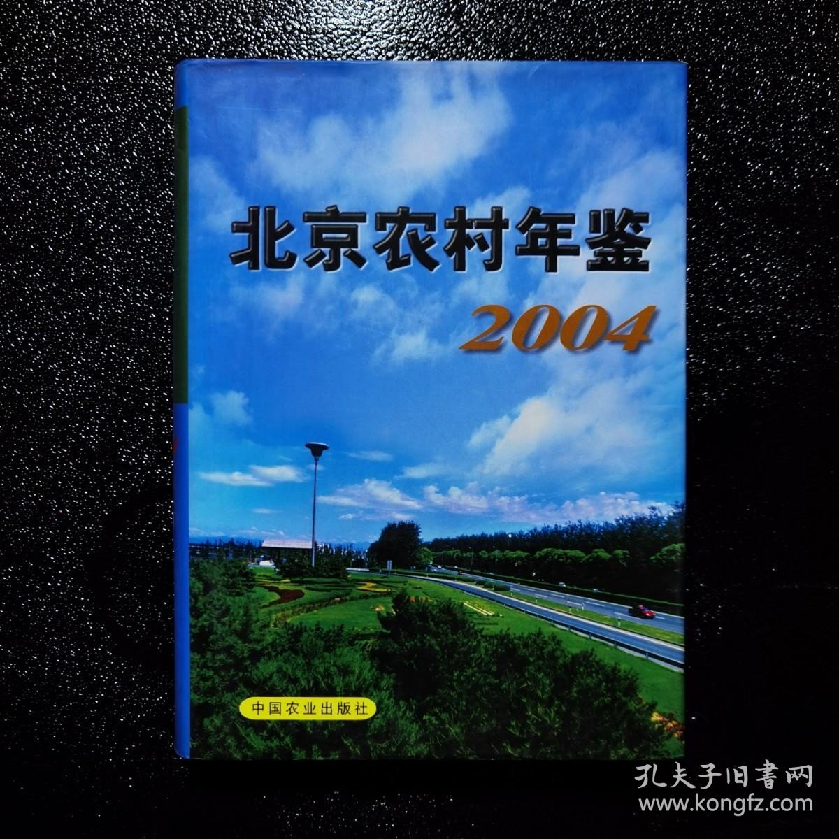 北京农村年鉴2004