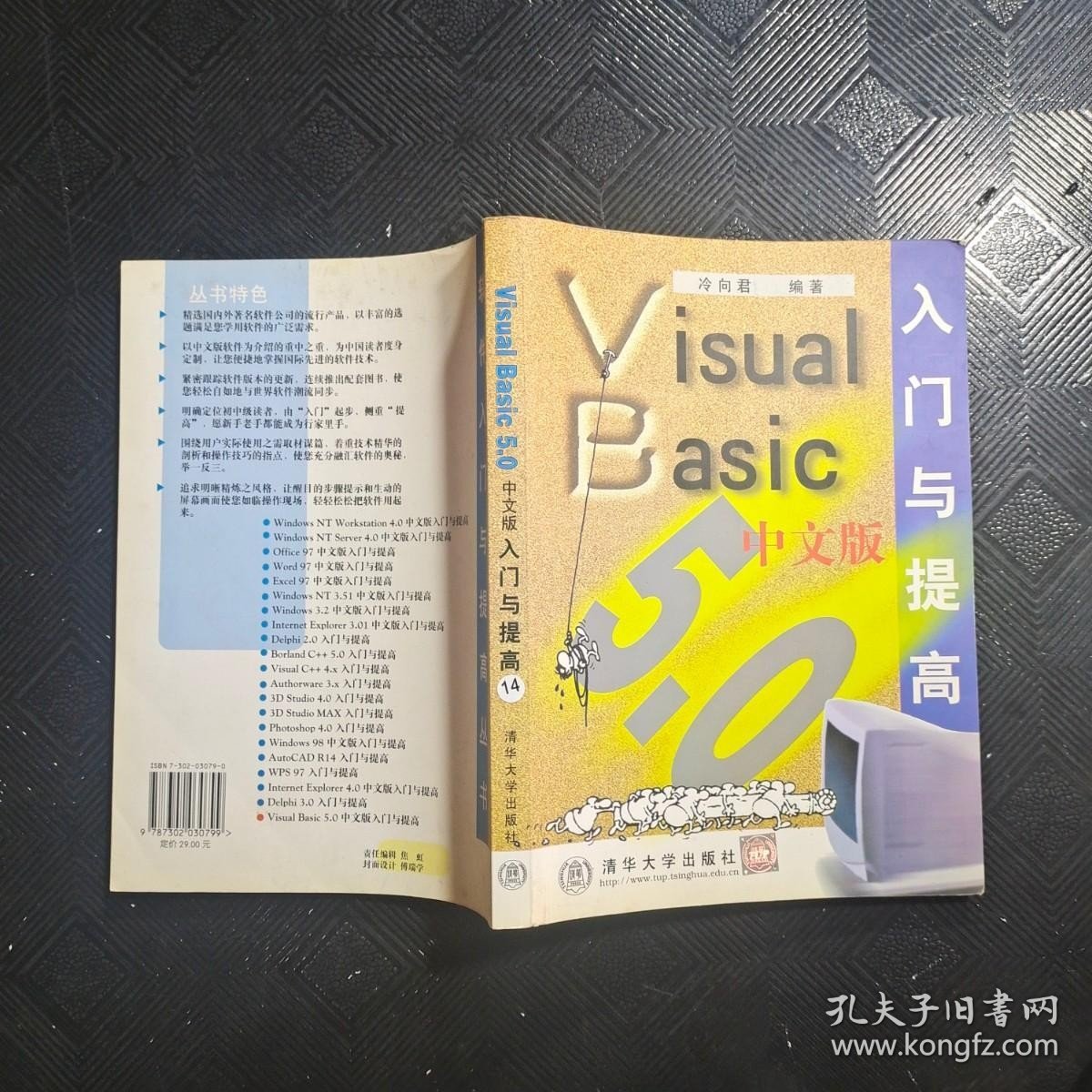 Visual Basic 5.0中文版入门与提高