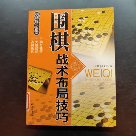 休闲娱乐大观：围棋战术布局技巧