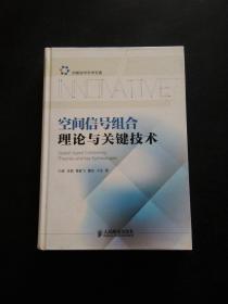 空间信号组合理论与关键技术