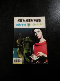 小小说选刊 2000年24