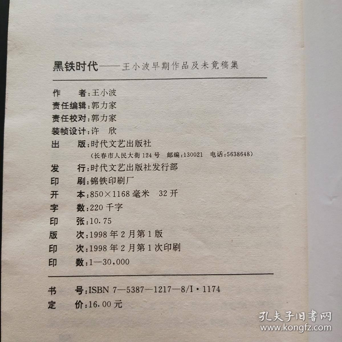 黑铁时代：王小波早期作品及未竟稿集