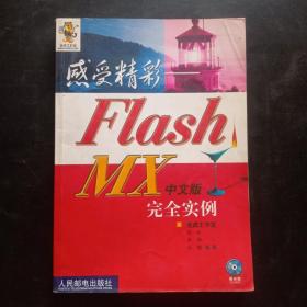 感受精彩：Flash MX中文版 完全实例