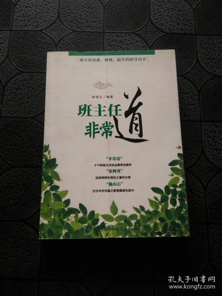 班主任非常道--班主任从业、修炼、提升的指导丛书