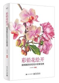 彩铅花绘开：超细腻的彩铅花卉绘制宝典小米与石石 花卉画铅笔画绘画技法艺术书籍