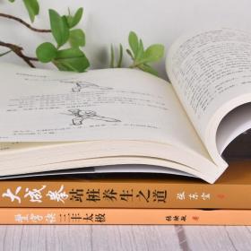【现货正版】全套3册张至顺道家养生智慧+豊字诀三丰太极+大成拳站桩养生之道 养生丛书 中医养生书籍中老年人保健养生书