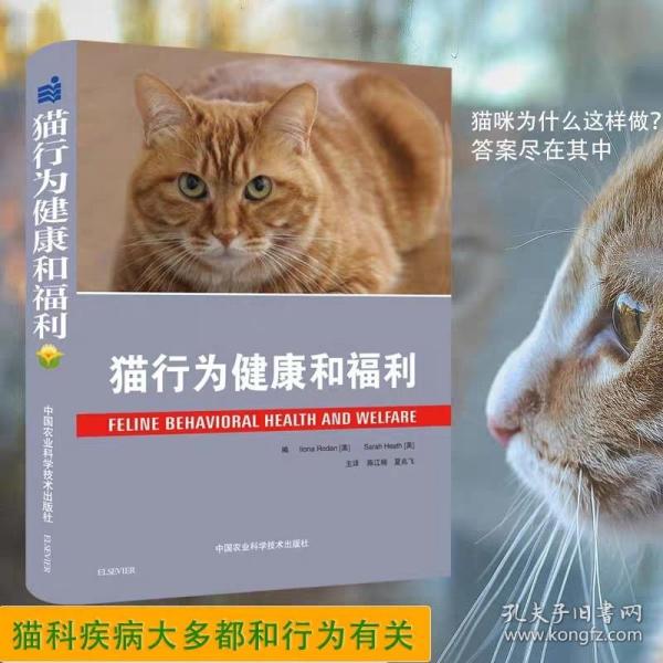 猫行为健康和福利