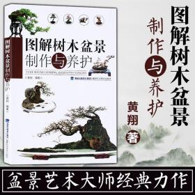 速发图解树木盆景制作与养护 养花书籍树木盆景盆栽制作教程书盆景书盆景造型制作书籍家庭园艺种花畅销书家庭休闲种植养花