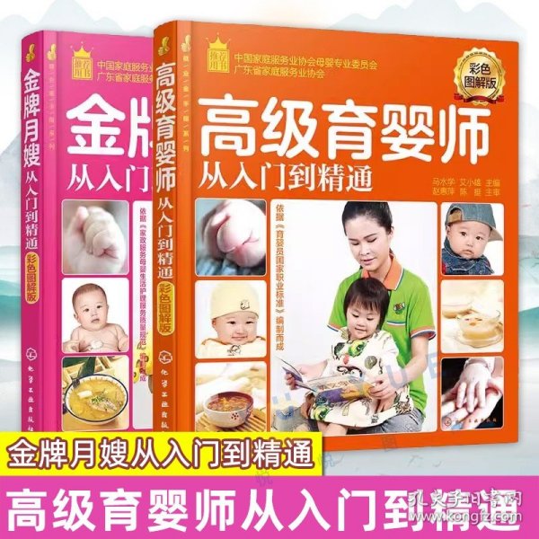 就业金手指系列--金牌月嫂从入门到精通