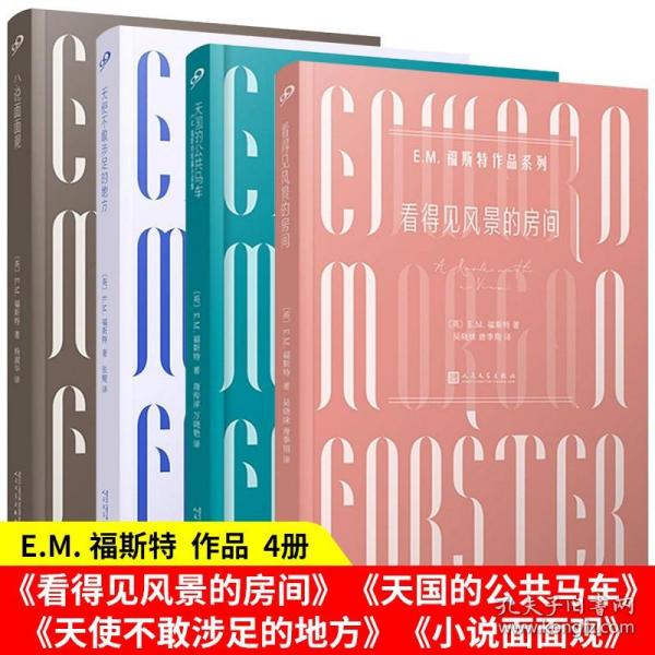 天使不敢涉足的地方（作者16次被提名诺贝尔文学奖、为20世纪重要的英国作家）