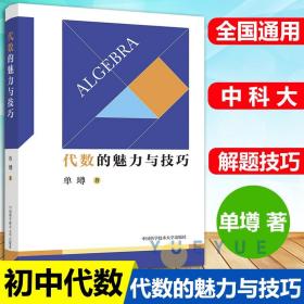 中科大初中数学代数的魅力与技巧单墫著 初一初二初三初中数学解题规律方法与技巧代数789年级2021中考数学必刷代数题同步训练题