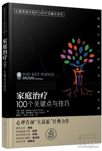 家庭治疗：100个关键点与技巧/心理咨询与治疗100个关键点译丛