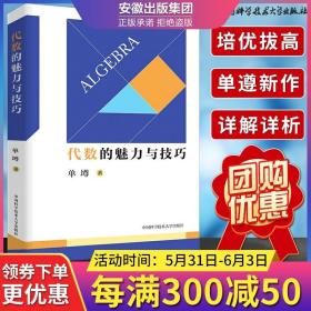 中科大初中数学代数的魅力与技巧单墫著 初一初二初三初中数学解题规律方法与技巧代数789年级2021中考数学必刷代数题同步训练题