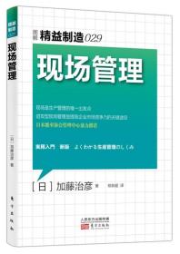 精益制造029：现场管理 市场营销 产品管理 企业生产经营与管理书籍 财务销售技巧管理创业书籍 企业管理学系列图书