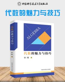 中科大初中数学代数的魅力与技巧单墫著 初一初二初三初中数学解题规律方法与技巧代数789年级2021中考数学必刷代数题同步训练题