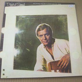 David Soul – Playing To An Audience Of One 黑胶LP唱片