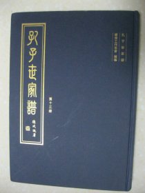 孔子世家谱（第十三册 仙源户 泉南户 齐王户 盛果户。本册为：仙源户；仙源户 莘县朝城支；泉南户；齐王户 长支；齐王户 二支；齐王户 三支；齐王户 四支；齐王户 五支；齐王户 六支；盛果户；盛果户 补遗毓培传铠后代。孔氏家谱、孔氏宗谱、孔氏族谱，孔子后裔）